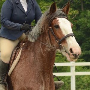 Meet your Posher, Sandrine